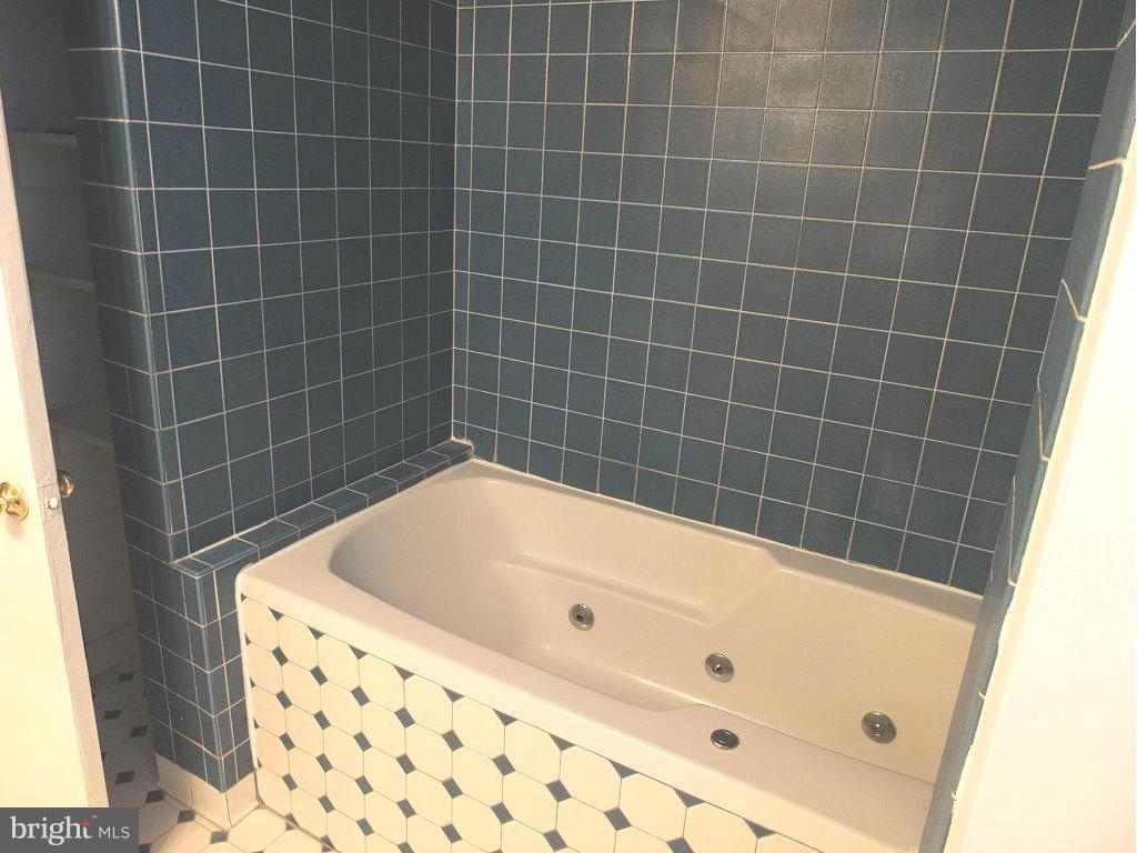 3807 Delano Street Silver Spring, MD 20902 - Photo 19 of 25 full bath rec room level