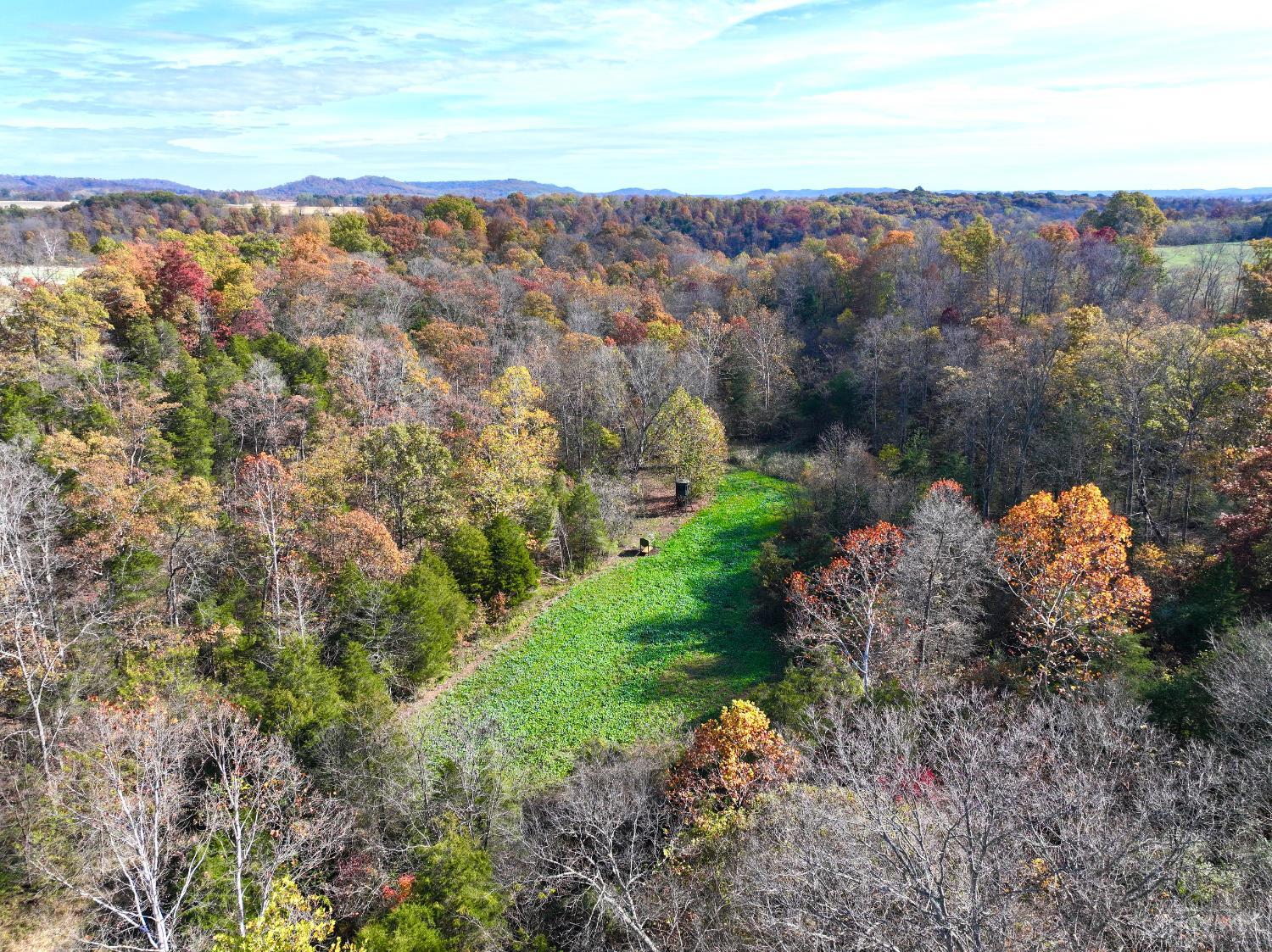 0 Harriet Road Hillsboro, OH 45133 - Photo 10 of 96