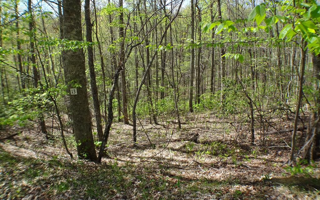 13 Deweese Road Topton, NC 28781 - Photo 2 of 4 Additional View