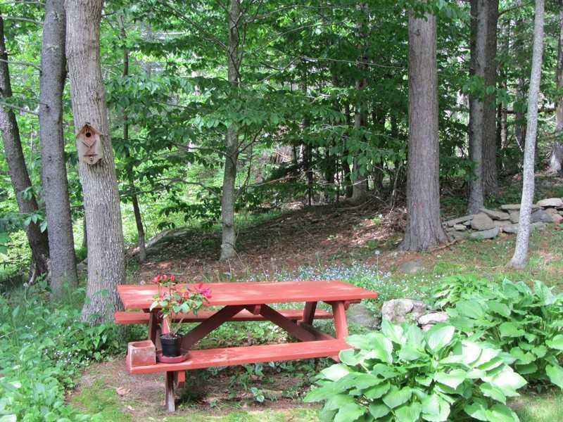 89 Lakeview Road Boothbay Harbor, ME 04575 - Photo 15 of 28 Yard/Garden. Towering mature trees...