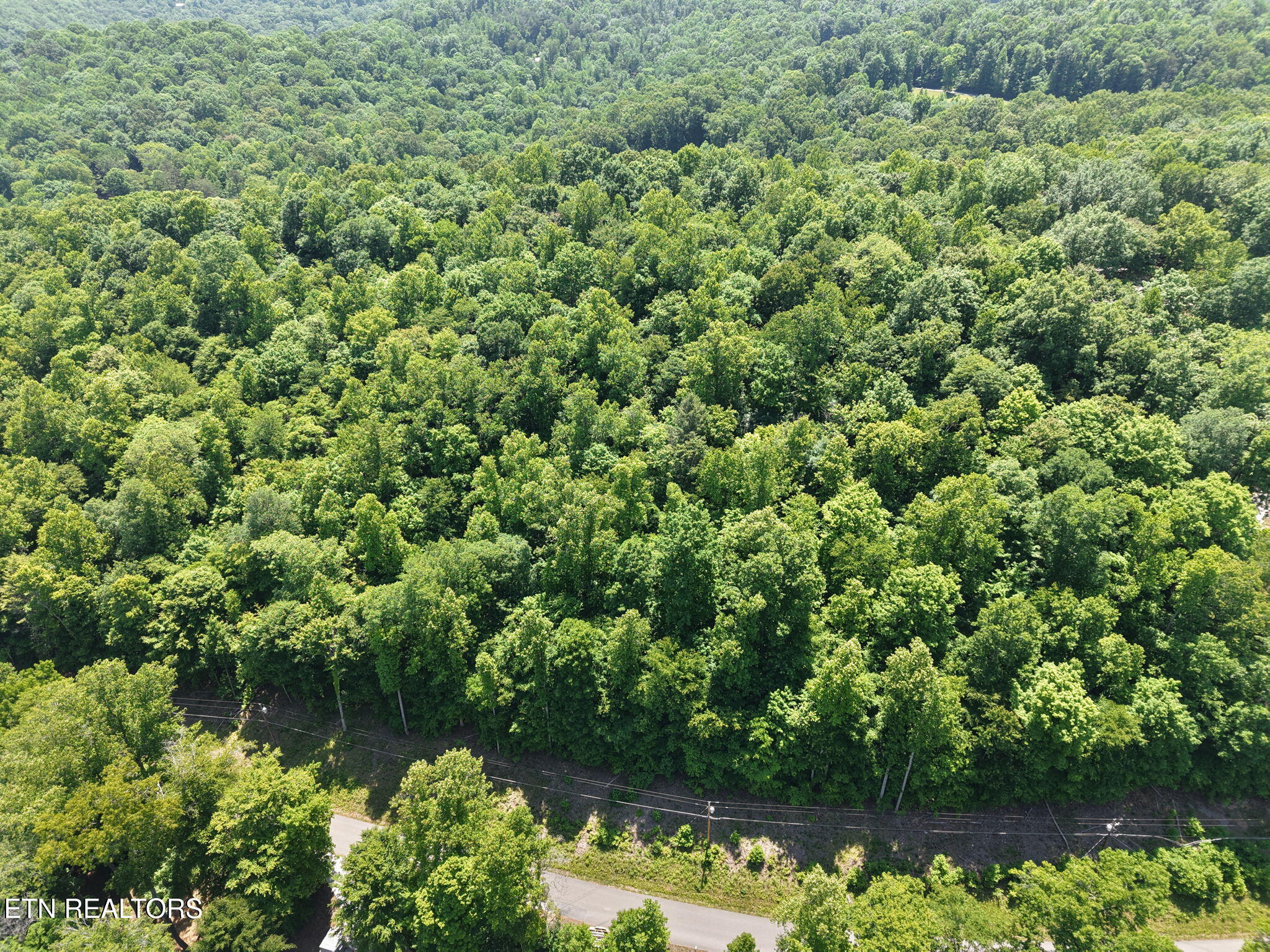 Yoakum Hollow Road Jacksboro, TN 37757 - Photo 11 of 17 8-web-or-mls-DJI_20260518131411_0018_D