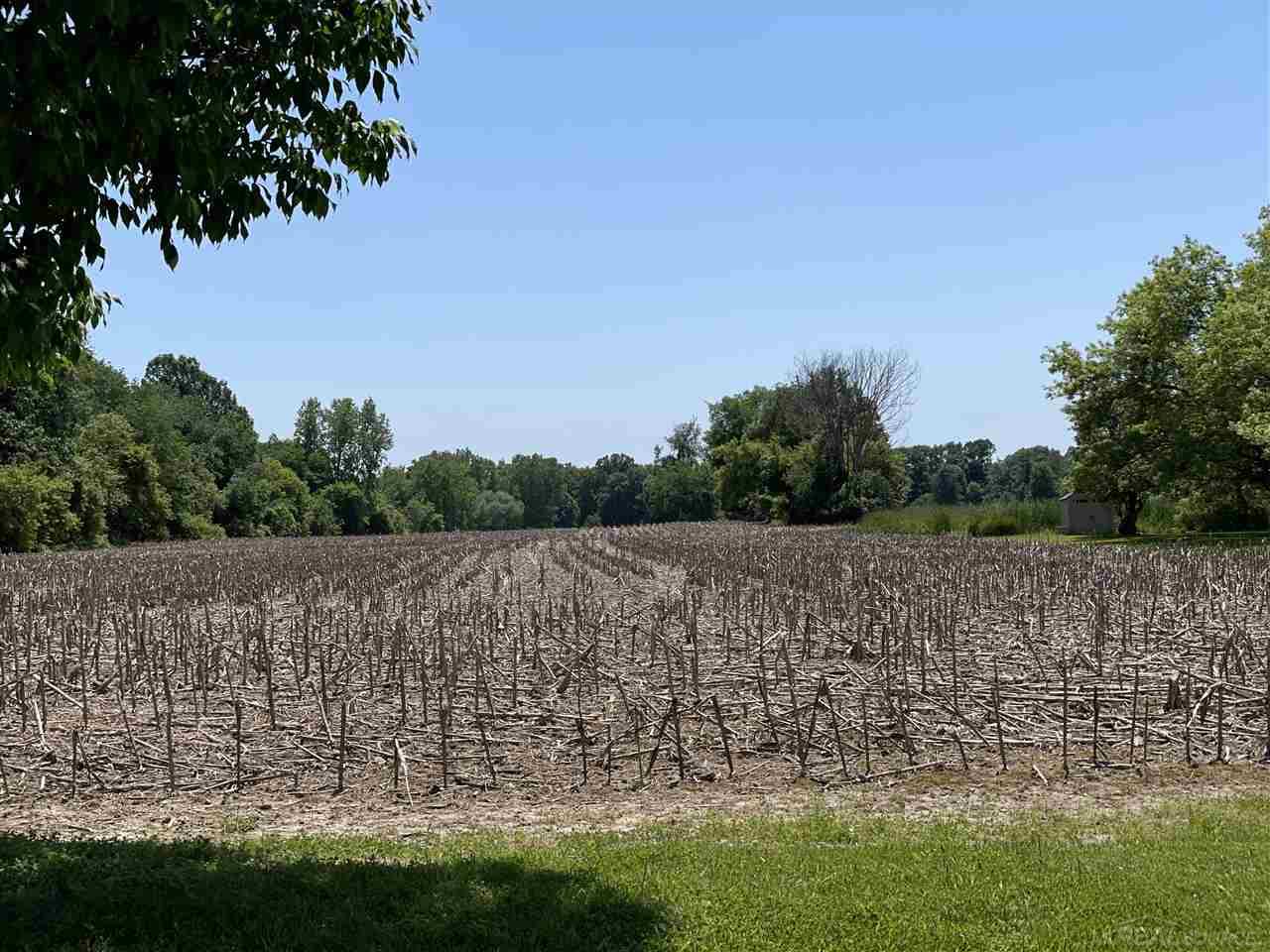 15959 Bryce Road Capac, MI 48014 - Photo 11 of 11