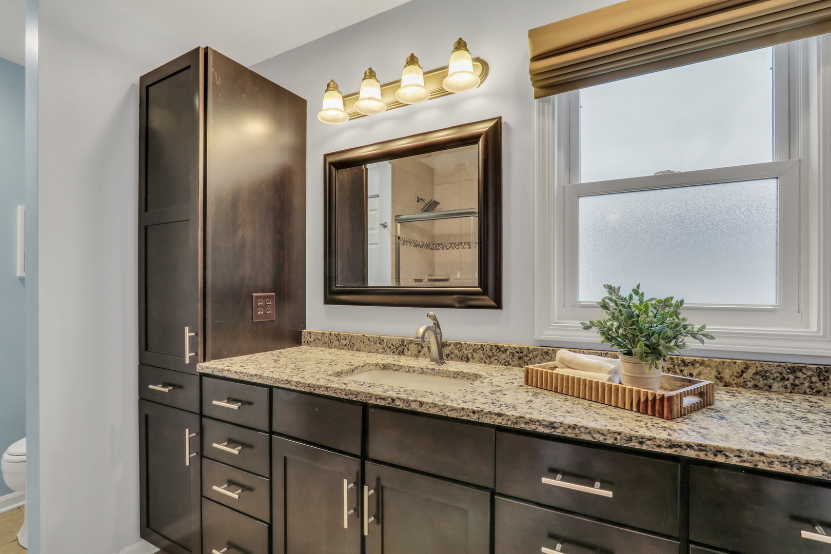 6183 Old Farm Lane Gurnee, IL 60031 - Photo 20 of 52 a bathroom with a granite countertop sink and a mirror