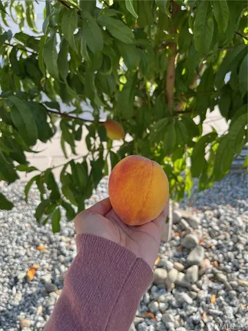 $3,700 | 6225 Mandy Lane North, San Bernardino, CA 92407