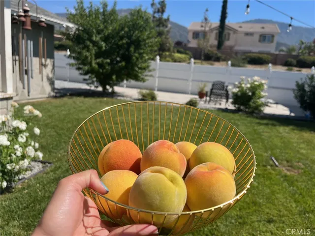 $3,700 | 6225 Mandy Lane North, San Bernardino, CA 92407