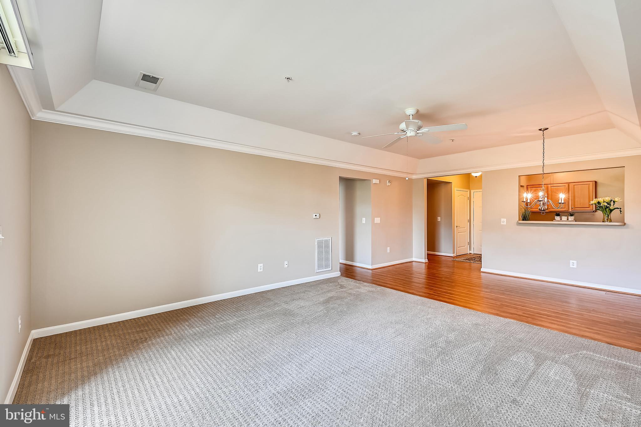 8601 Roaming Ridge Way, Unit 204 Odenton, MD 21113 - Photo 11 of 46 Tray Ceilings and 9' Ceilings
