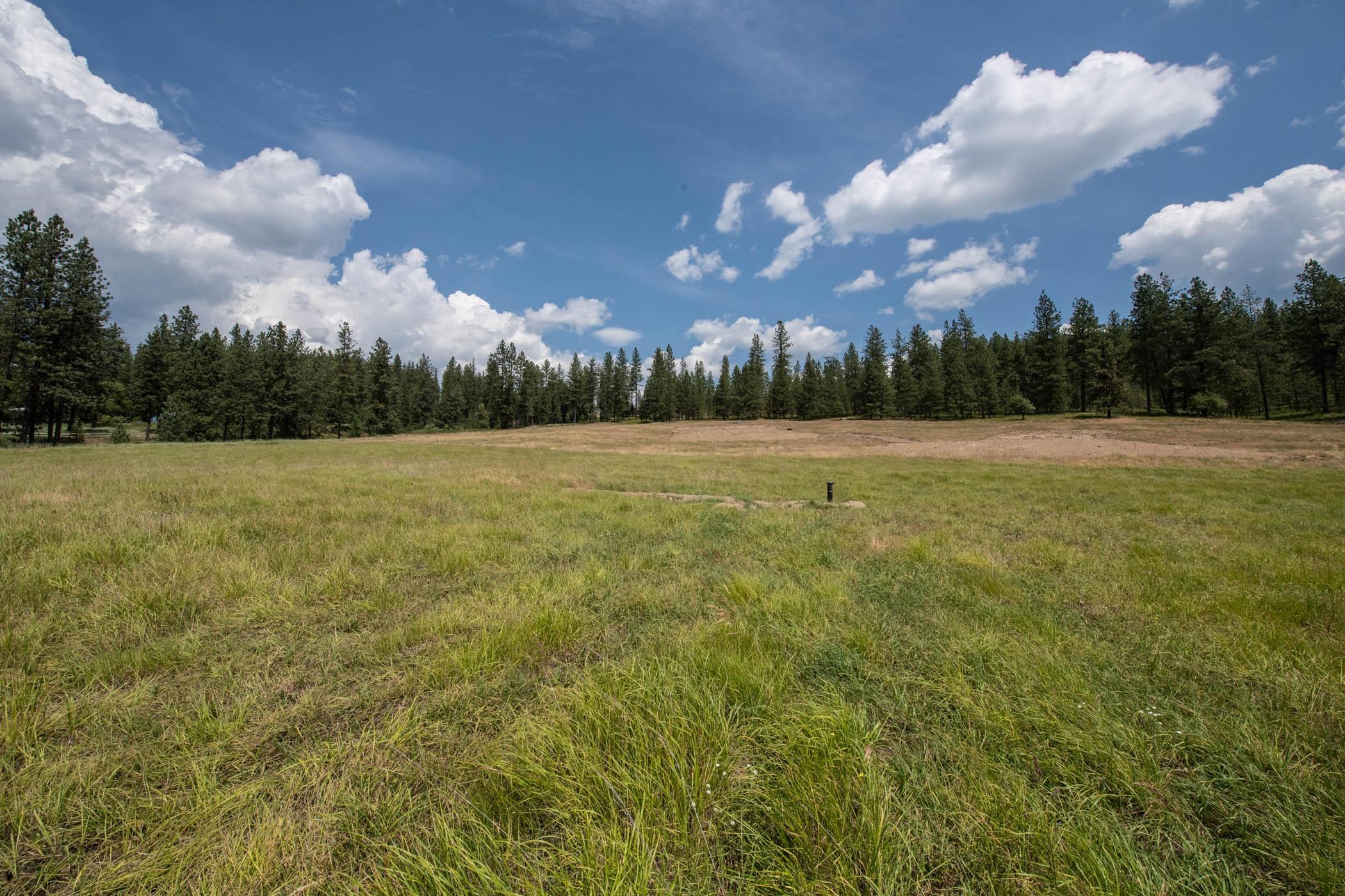 2366 Burnt Valley Road Chewelah, WA 99109 - Photo 10 of 24 Gallery Image 10