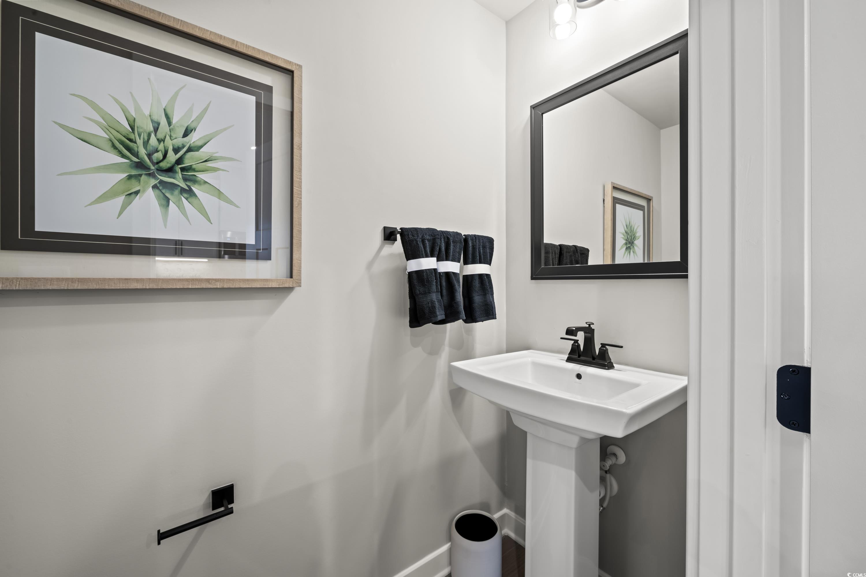 8814 Reya Road, Unit 155A Longs, SC 29568 - Photo 21 of 21