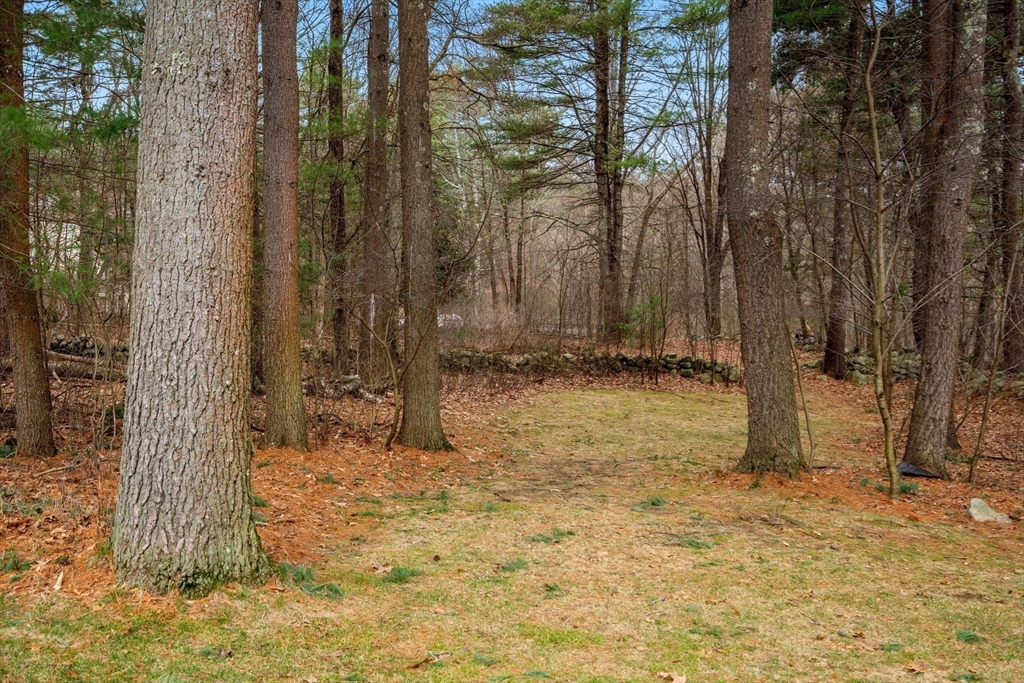 419 Concord Road Sudbury, MA 01776 - Photo 33 of 41