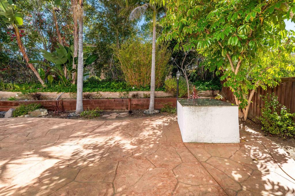 1577 Archer Road San Marcos, CA 92078 - Photo 45 of 53 a view of a yard with plants and trees
