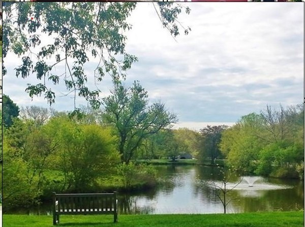 a view of a lake with houses