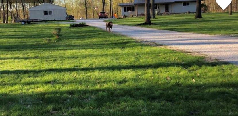 2286 North Portland Arch Road Covington, IN 47932 - Photo 1 of 2 Gallery Image 1