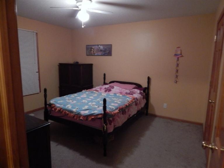 154 East Colon Road Coldwater, MI 49036 - Photo 13 of 24 Additional Photo
