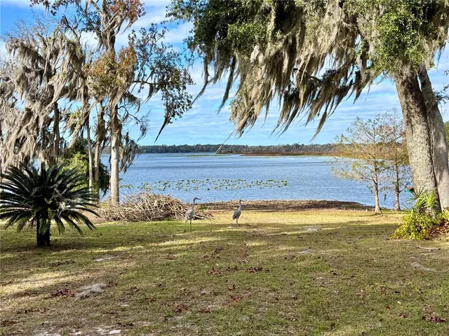 a view of swimming pool with a yard
