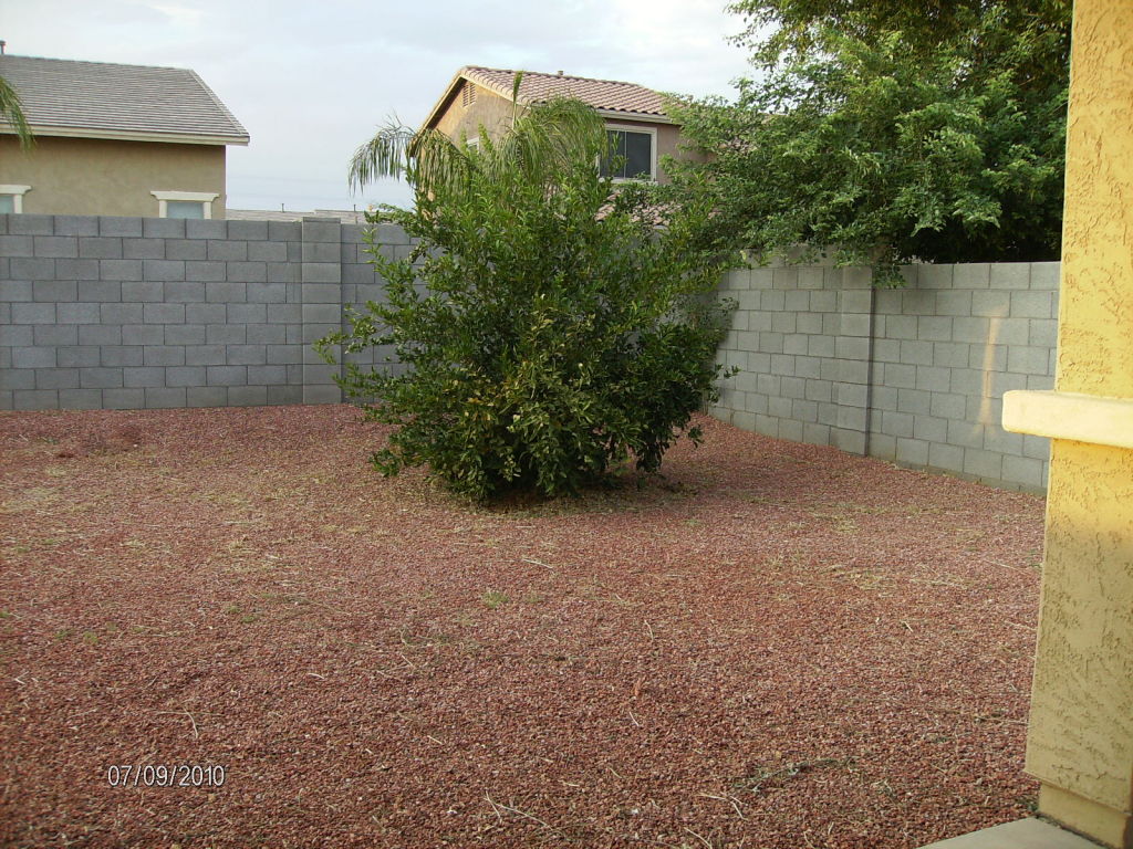 1294 East Walnut Road Gilbert, AZ 85298 - Photo 18 of 20 1294 E Walnut Rd (48)