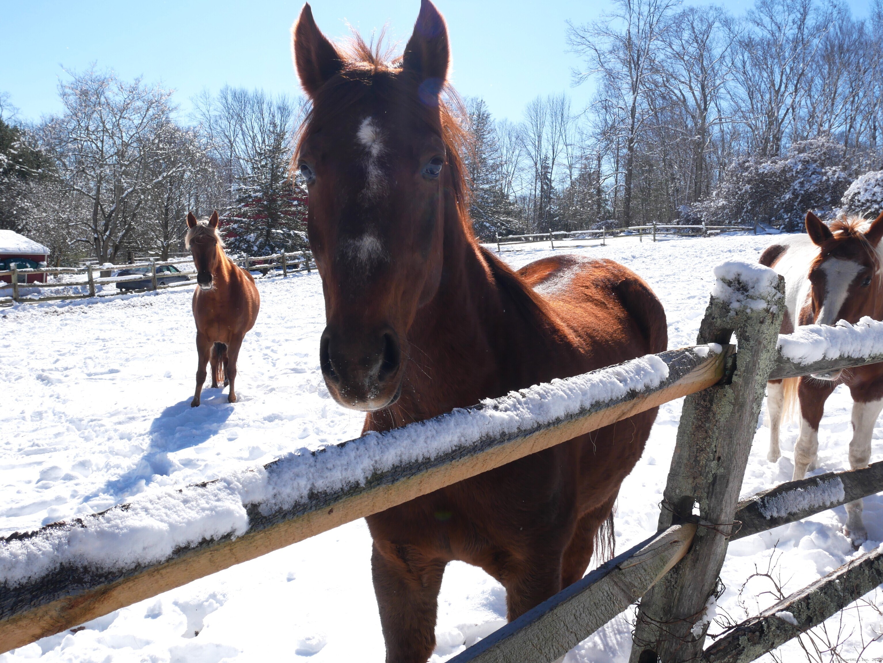 69 North Bedlam Road Chaplin, CT 06235 - Photo 34 of 40 a view of swimming pool from a patio