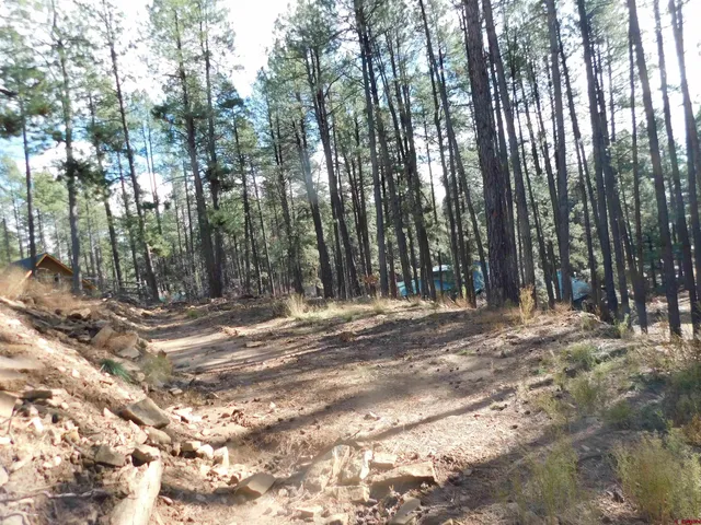 a view of outdoor space with trees