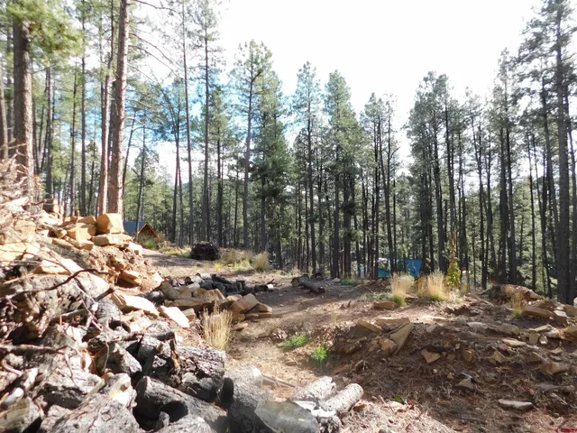 a view of outdoor space with trees