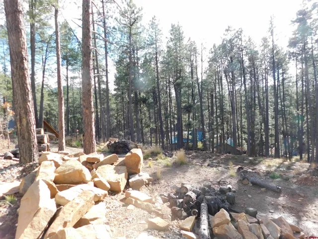 a view of backyard with trees