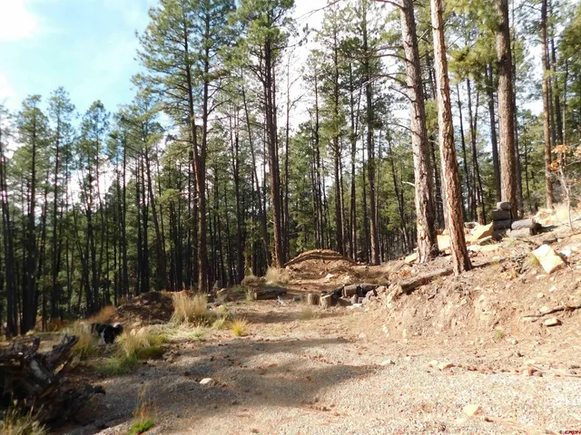 a view of a house with a snow on the ground