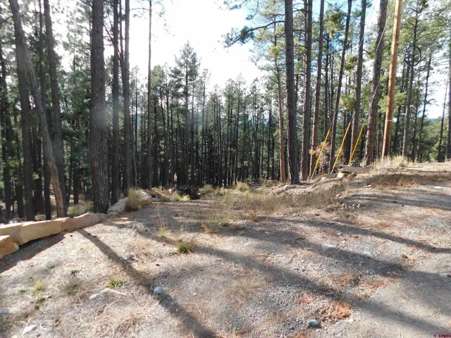 a view of outdoor space with trees
