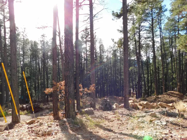 a view of a backyard of the house