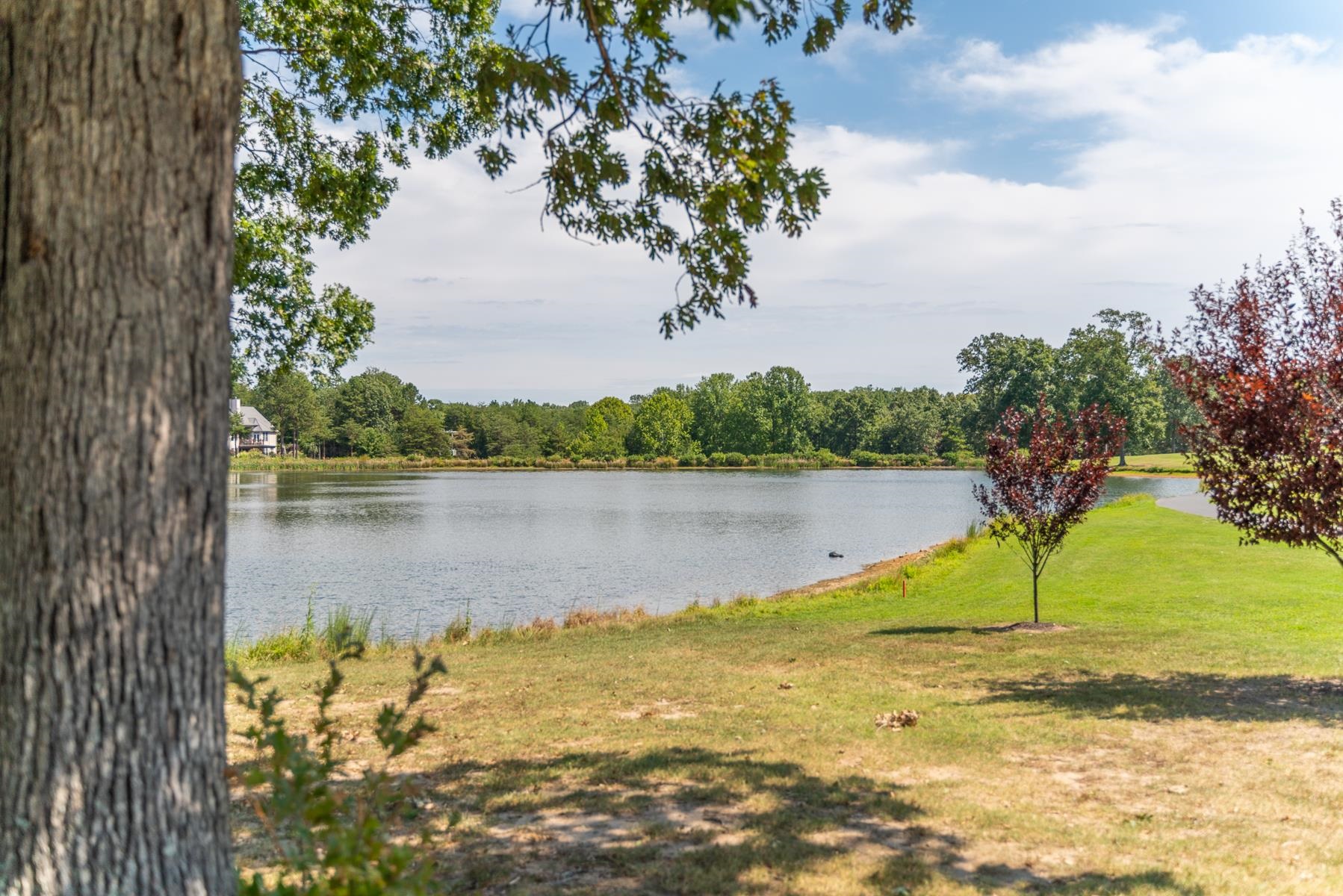 10 Zephyr Road Palmyra, VA 22963 - Photo 69 of 72 a view of a lake with a big yard and large trees