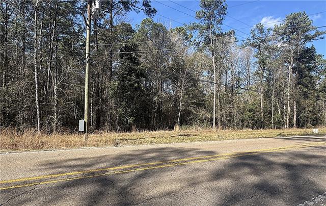 Lot 24-69-71 Lot 24-69-71 Lee Road Covington, LA 70435 - Photo 4 of 4