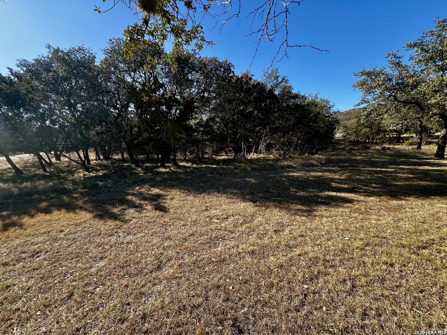 92 Mountain Valley Road Concan, TX 78838 - Photo 7 of 10 a view of a yard