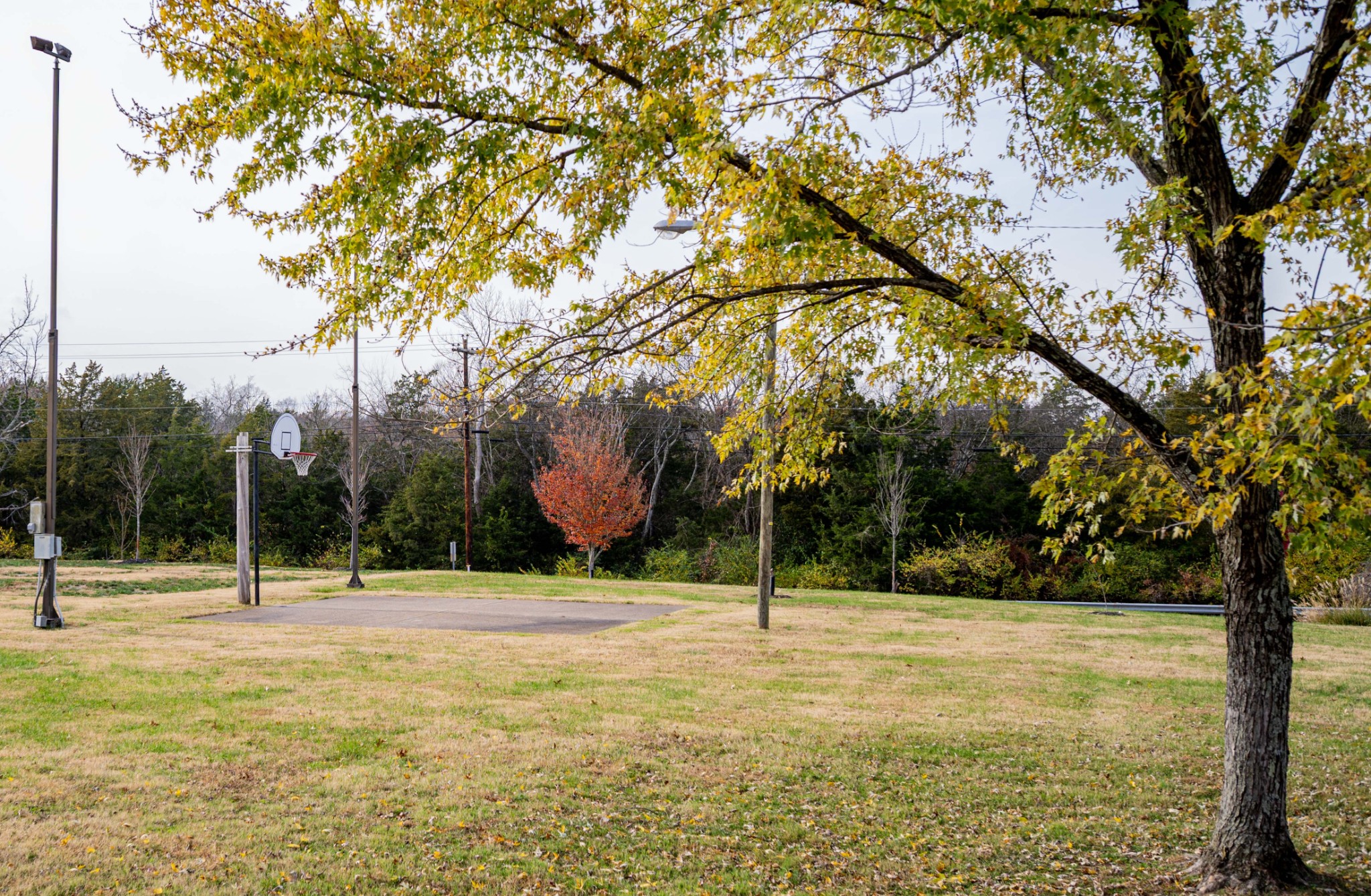 4001 Anderson Road, Unit O36 Nashville, TN 37217 - Photo 40 of 41