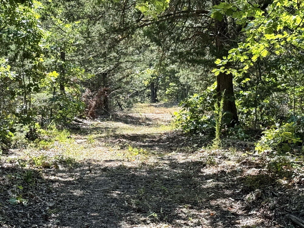 0 Southeast 500 Road Collins, MO 64738 - Photo 30 of 43 30