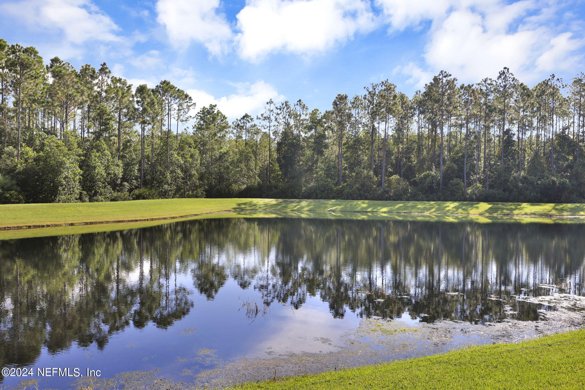 79 Shadow Rdg Trail Ponte Vedra, FL 32081 - Photo 3 of 99 Backyard Pond