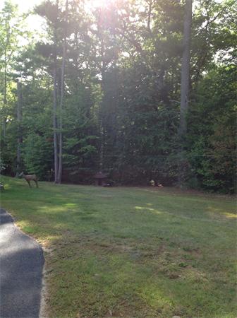 4 May Brook Road Holland, MA 01521 - Photo 19 of 21