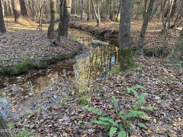 a view of a yard with plants and trees