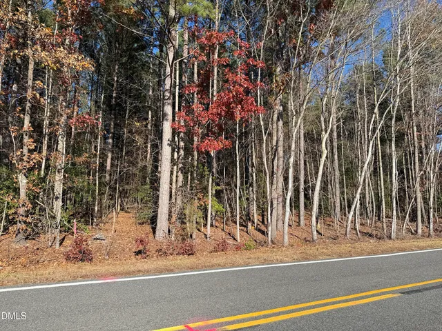 a view of a bird bath