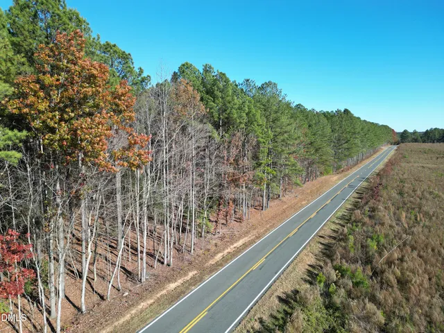 a view of a garden from a window