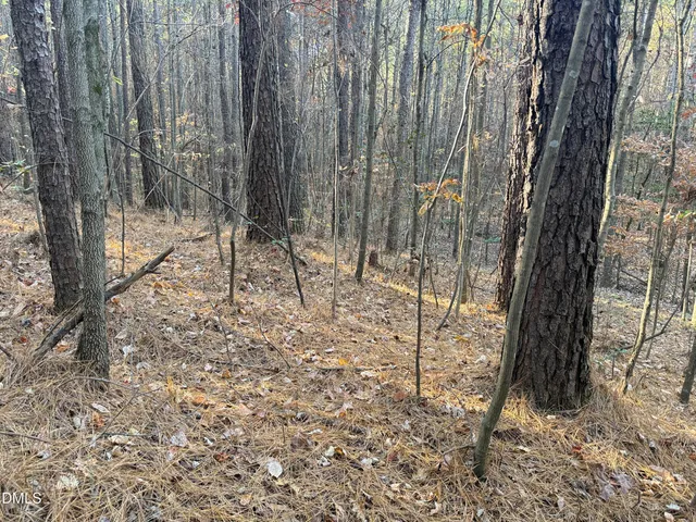 a view of a yard with trees