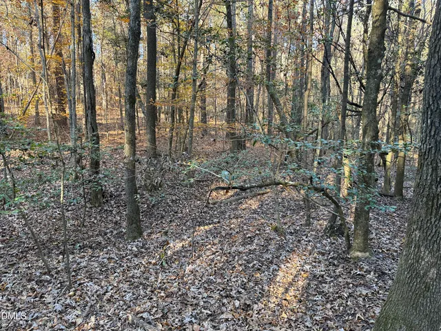 a view of a yard with trees in the background