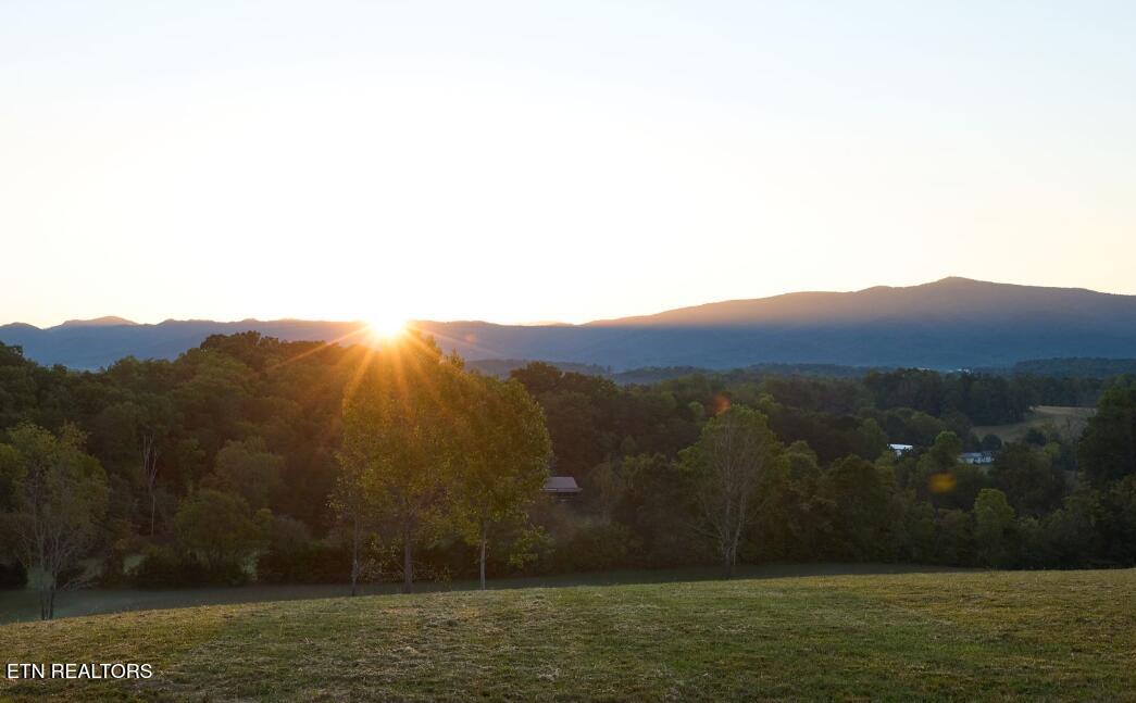 15 Moody Moon Ridge Way Newport, TN 37821 - Photo 12 of 13 Screenshot 2026-03-13 141628