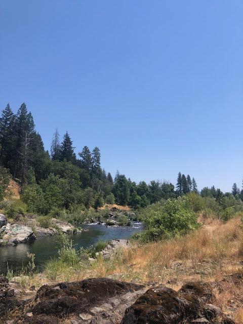1313 Rockydale Road Cave Junction, OR 97523 - Photo 12 of 12 IMG_0478