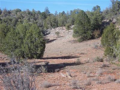 377 Southwest Off Arizona Road Ash Fork, AZ 86320 - Photo 1 of 5 Primary Photo