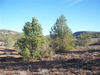 377 Southwest Off Arizona Road Ash Fork, AZ 86320 - Photo 2 of 5 Additional Photo