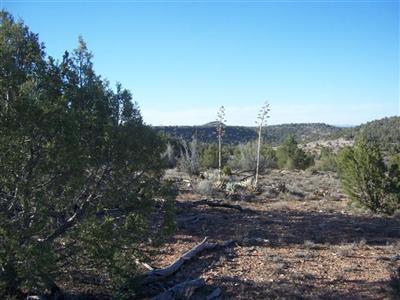 377 Southwest Off Arizona Road Ash Fork, AZ 86320 - Photo 3 of 5 Additional Photo