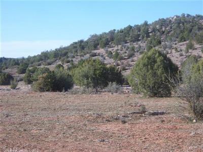 377 Southwest Off Arizona Road Ash Fork, AZ 86320 - Photo 4 of 5 Additional Photo