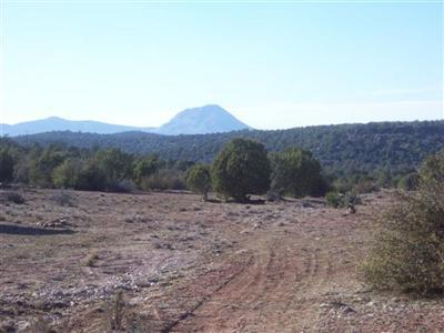 377 Southwest Off Arizona Road Ash Fork, AZ 86320 - Photo 5 of 5 Additional Photo