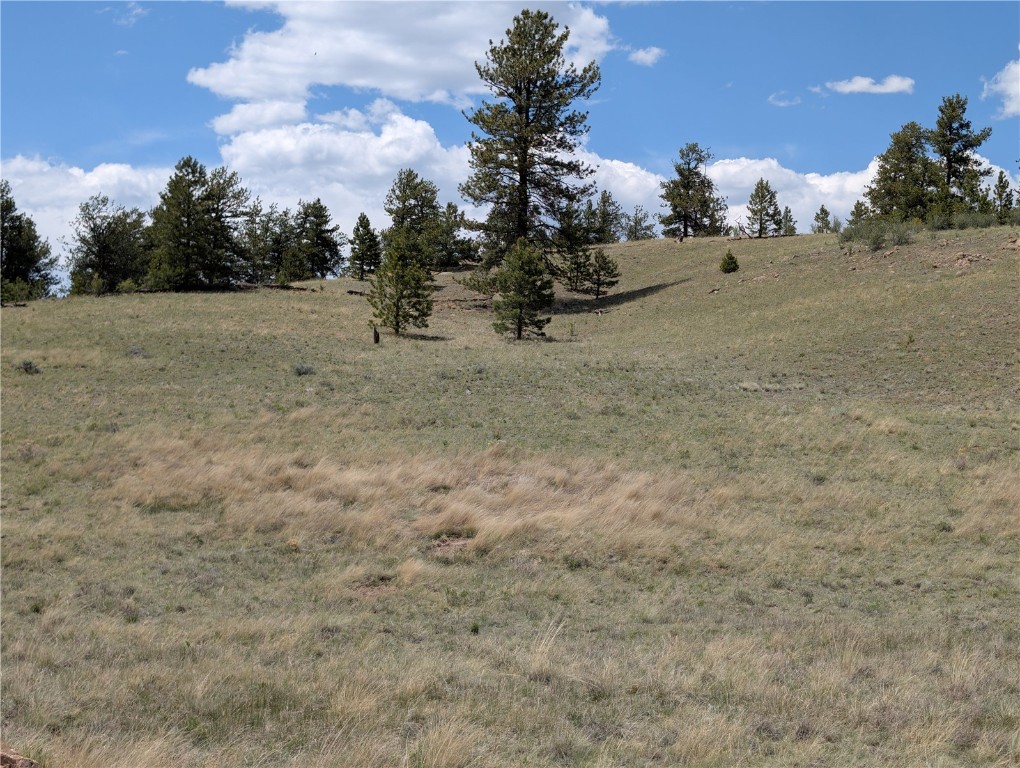 2053 Badger Creek Road Hartsel, CO 80449 - Photo 11 of 14 Gallery Image 11