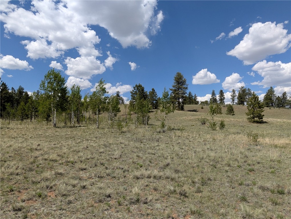 2053 Badger Creek Road Hartsel, CO 80449 - Photo 2 of 14 Gallery Image 2