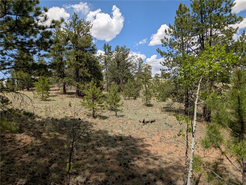 2053 Badger Creek Road Hartsel, CO 80449 - Photo 3 of 14 Gallery Image 3