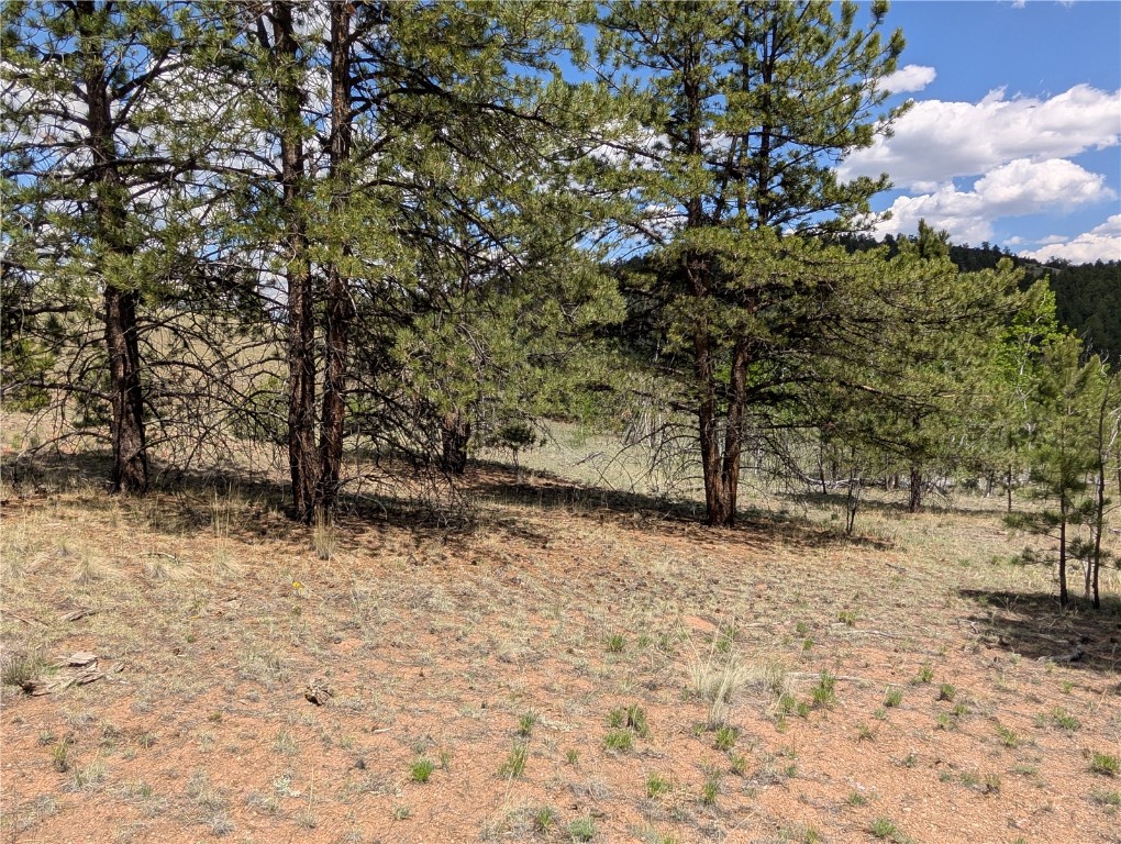 2053 Badger Creek Road Hartsel, CO 80449 - Photo 4 of 14 Gallery Image 4