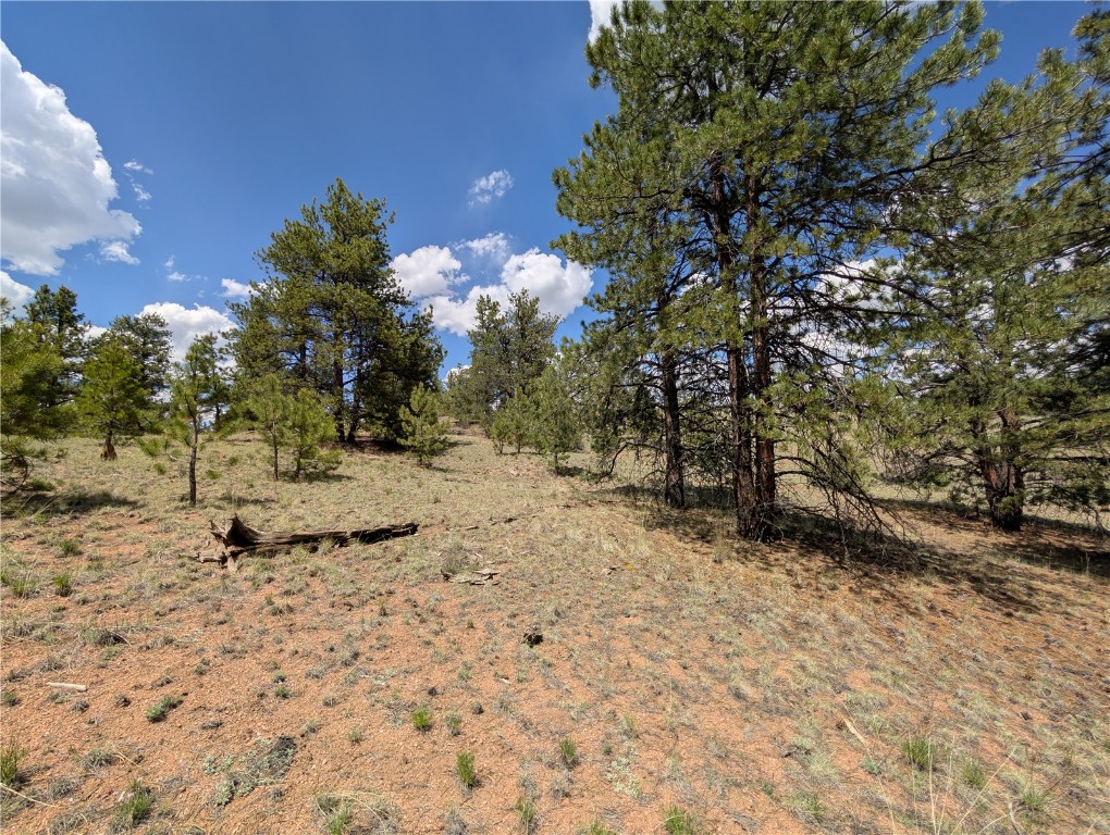 2053 Badger Creek Road Hartsel, CO 80449 - Photo 6 of 14 Gallery Image 6